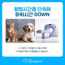 진접동물병원 이미지