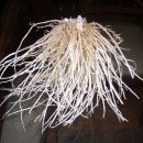 삼채는 어떤 채소인가? 모셨온글 이미지