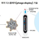 주식회사 픽시스 이미지