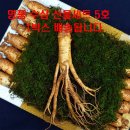 주)한국산삼공사 이미지