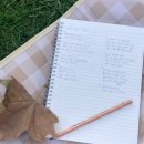 [시드니] 호주에서 한 달 살기 2주차 / Shelly beach, 오페라 하우스, 보태닉 가든, 성 세인트 메리...