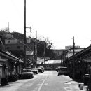 사진을 찍다 | 관광지가 아닌 목포, 만호동 골목에서 사진을 찍다