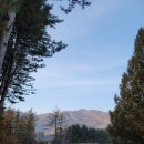 다산식자재마트 수동점 이미지