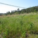 양을로 41번길 이미지