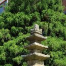 남중동오층석탑 이미지