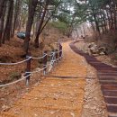 서유1호 이미지