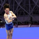 제천체육관 올림픽스포츠센터 이미지