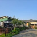 아모르민박 이미지