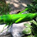 우아세어린이집 이미지