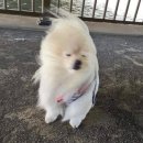 세븐일레븐 인천계양작전점 | 제주도 2박3일 여행 : 제주활엽수게스트하우스 내돈내산 후기 (스물아홉, 제주)