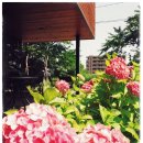 배우님은 최근에 무엇을 찍으셨나요 :)? 이미지