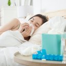 알레르기 이미지