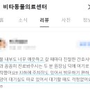 상무병원 | 상무지구동물병원, 비타를 내원해 주신 보호자님들의 100% 실제 후기 모음!