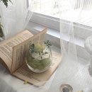 그린피드 이미지