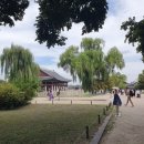 주식회사 유보스메디컬글로벌 | 2025 의료관광 우수유치기관지정 공고