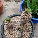 가신경로당 이미지