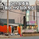 동아산오징어횟집