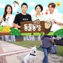 호돌이농장 이미지