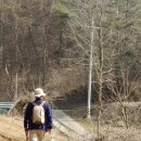 효석문학100리길 제4구간 이미지