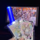 리&최 헤어뱅크 | 2025 세카라이 낮공 라이브 뷰잉후기