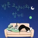 나만고양이없어 이미지