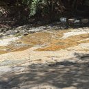 도림사계곡 이미지