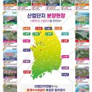 뽑아죠 이미지