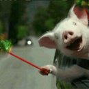 더블B복싱클럽 이미지