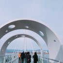 다릿목닭갈비 | 춘천 스카이워크 / 스카이워크 맛집 다릿목 닭갈비 후기