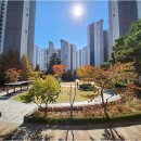 서희 공인중개사사무소 | 호매실역부동산 거래, 서희코뿔소 공인중개사사무소가 정답인 이유