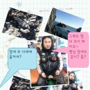 다이헌터의 <b>다대</b>나무섬 <b>출</b>~후~ㅋㅋ