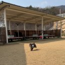 숲으로 | 양산애견카페, 애댕의숲으로 떠난 후기