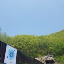 생각이 자라는 탐험 수학 | [충북 여행] 단양 고수동굴 후기 | 5억 년 천연동굴 입장료·소요시간·볼거리