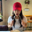 1253 | [가평] 자라섬 근처 애견카페 &#39;Cafe1253&#39; 내돈내산 후기 / 가평 한옥카페 추천