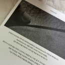 미니레브 이미지