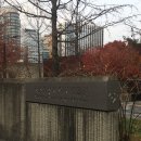 서소문성지 역사박물관 | [내돈내산] 서소문성지역사박물관 방문 후기