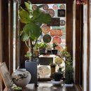 이상복 | 경주 황리단길 기념품 간식 이상복 경주빵 계피빵 내돈내산 후기 본점 주차 정보