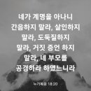 누가복음 18장 20절 이미지