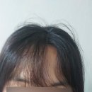 전주신시가지 미용실추천 이철헤어커커 전주도청 라임선생님