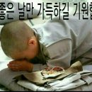 명진 이미지
