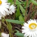 수청농장 이미지