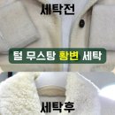 지하특수세탁 이미지