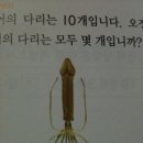 오징어 다리수는 몇개? 이미지