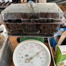 장유농장 이미지