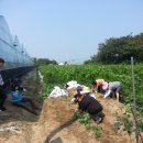 송은농장 이미지