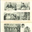 파장초교 이미지