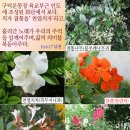 구덕운동장 육교 인근 이미지