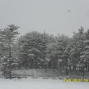 인흥초등학교 이미지