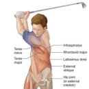 노블스크린골프 이미지