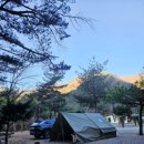 난다펜션 | 양양캠핑장 끝판왕 찾았다 🌲 그루터기 캠핑장·펜션 실제 방문 후기